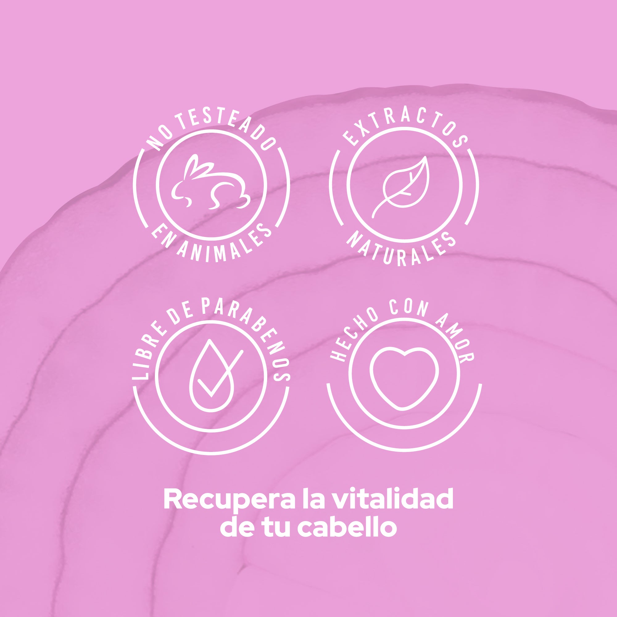 ACONDICIONADOR CON CEBOLLA ANYELUZ - Imagen 5