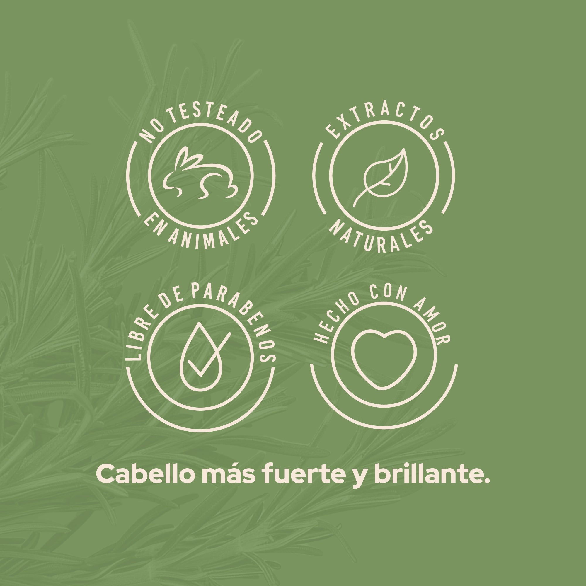 ACONDICIONADOR CON ROMERO ANYELUZ - Imagen 5