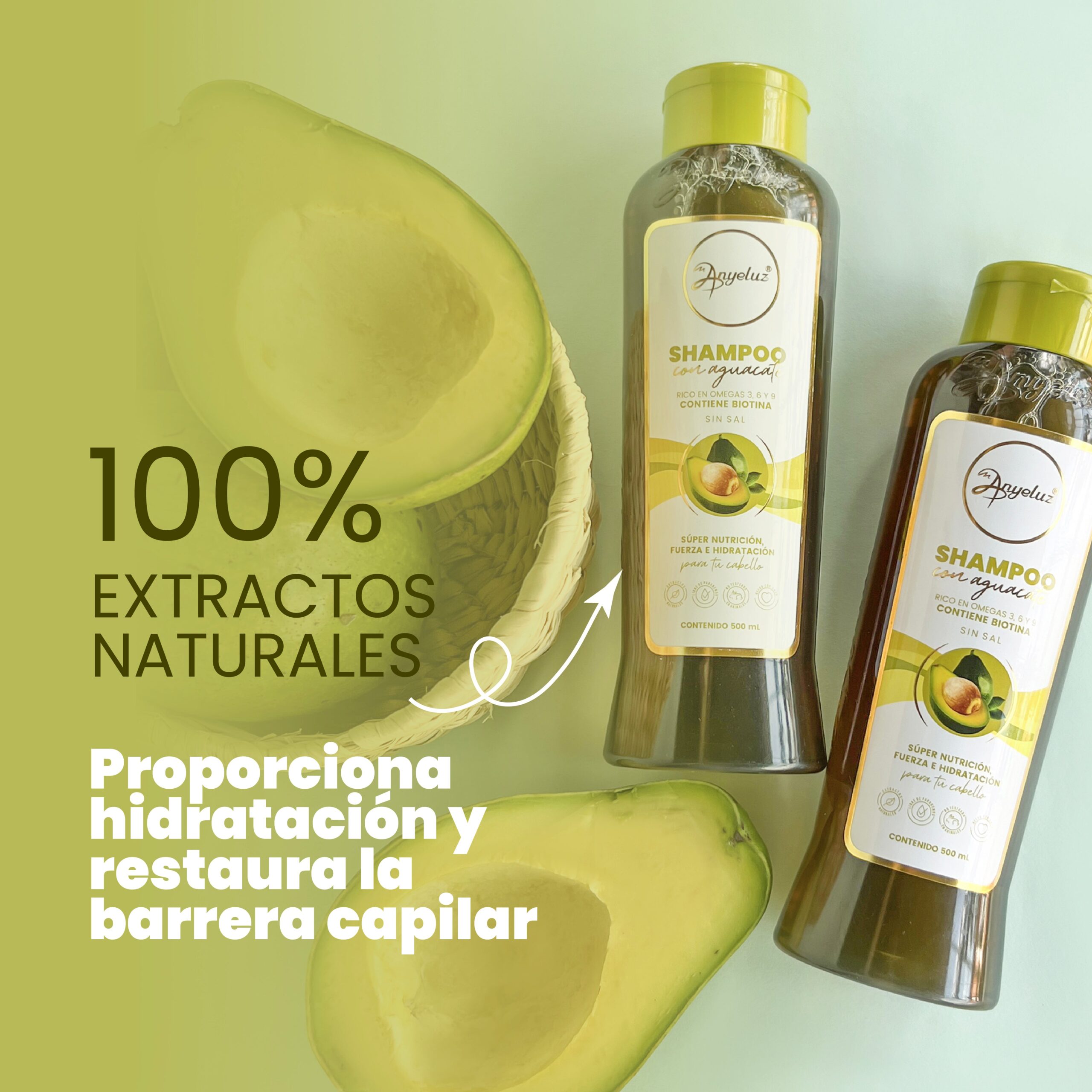 SHAMPOO CON AGUACATE ANYELUZ - Imagen 6